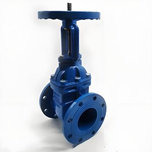 手動閘閥Z41T-16 DN50/DN65廠家直銷，上海發